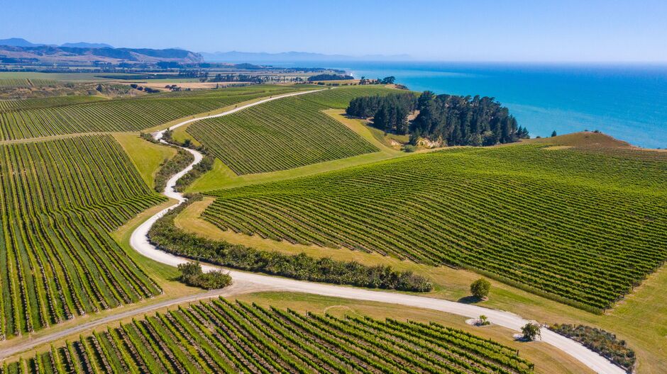 Malborough Sauvignon Blanc