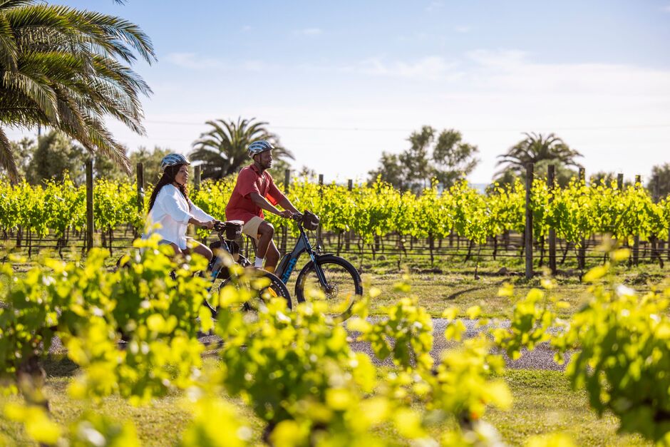 Elephant Hill Winery, Tākaro Trails Cycle Tours