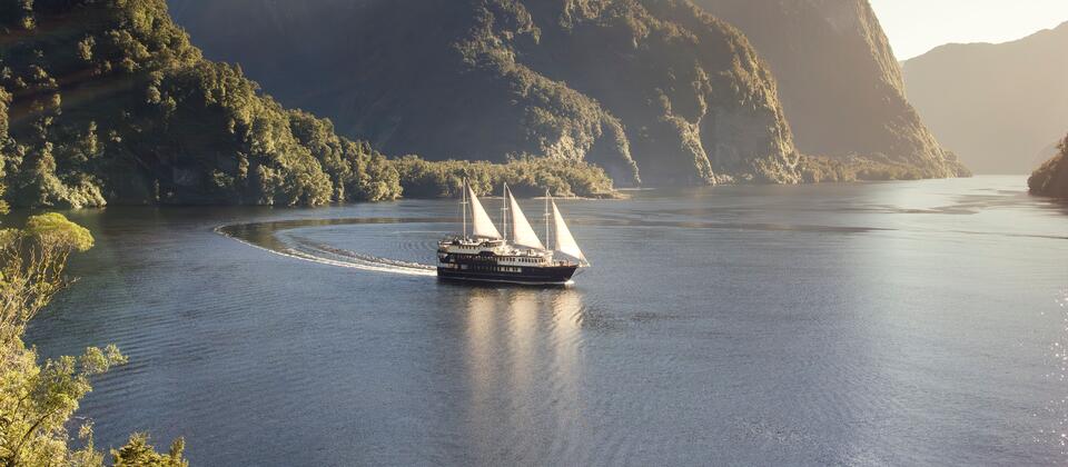 516839 doubtful sound fiordland
