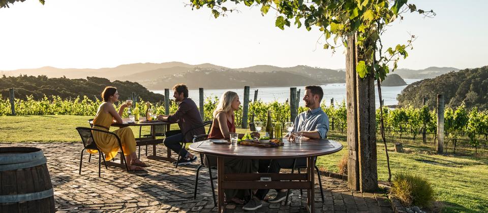 NZ Vineyard 