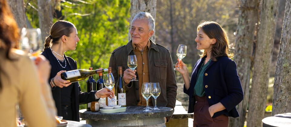 Wine tasting at Brick Bay, Matakana, Auckland
