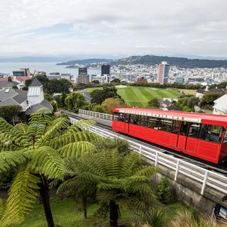 Wellington City