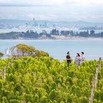 Wine tasting on Waiheke Island, Auckland