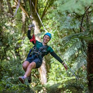 Rotorua Canopy Tours